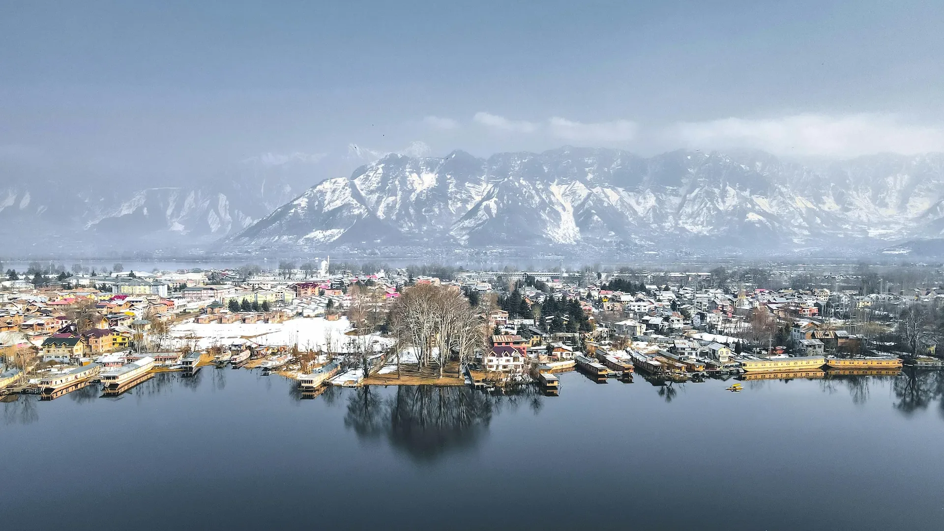 Kashmir landscape — walnut orchards